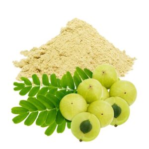 Amla Powder 100g